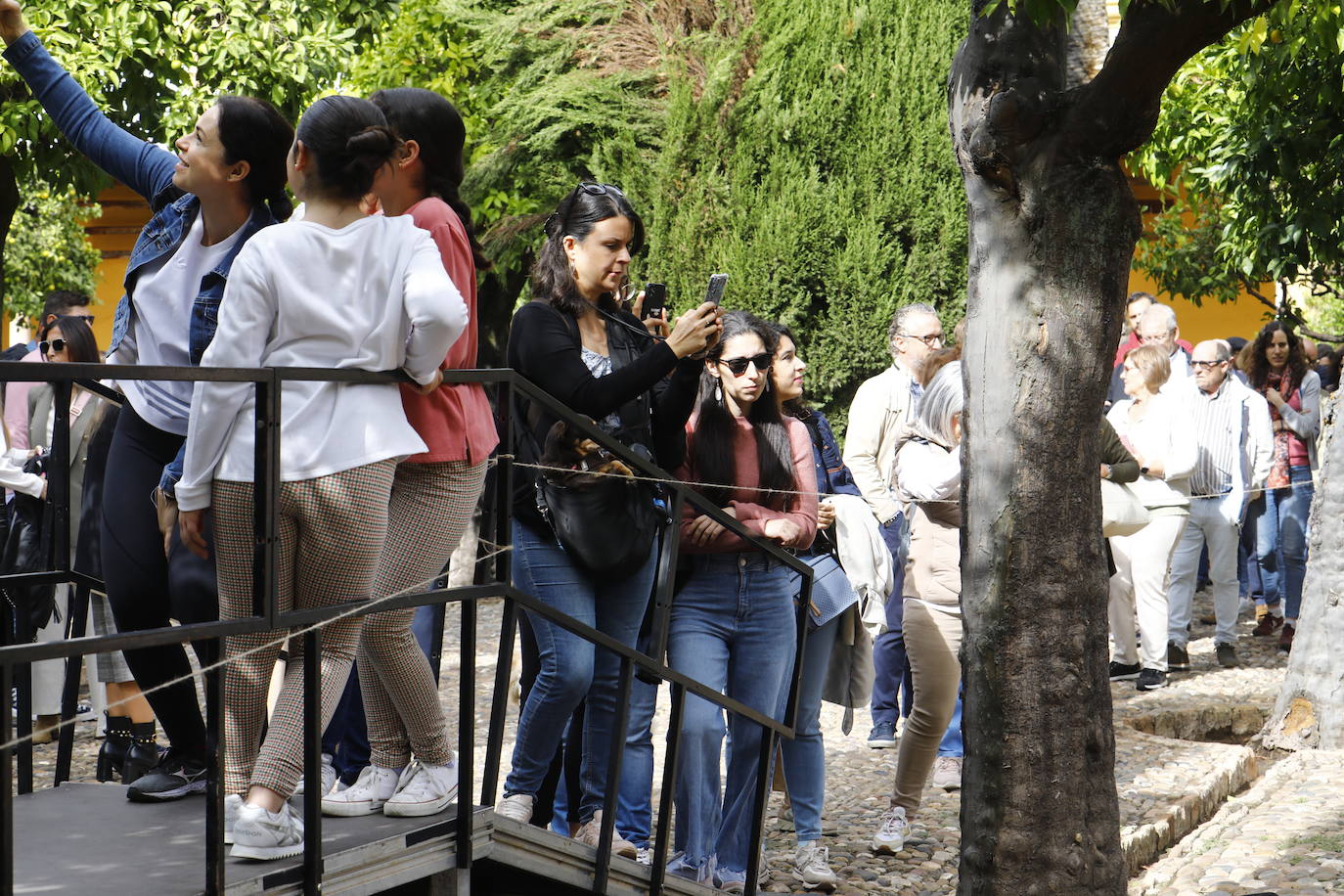Fotos: radiante y multitudinaria segunda jornada de Flora
