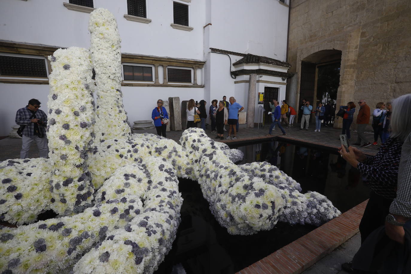 Fotos: radiante y multitudinaria segunda jornada de Flora