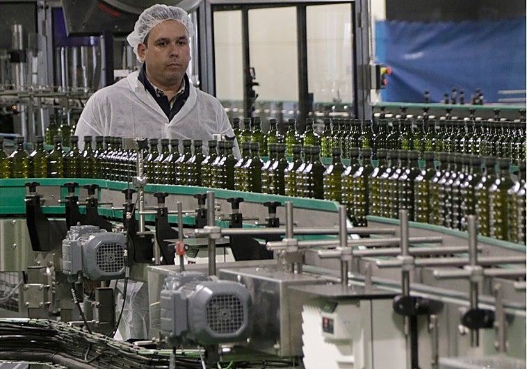 Un trabajador en una línea de envasado de aceite en una planta agroalimentaria