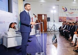 La Junta de Andalucía pide «responsabilidad» a los ciudadanos por los efectos de la borrasca en trenes y aeropuertos