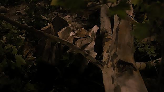 Fragmentos de la estatua de San Rafael en el suelo de la plaza del Cristo de Gracia el domingo