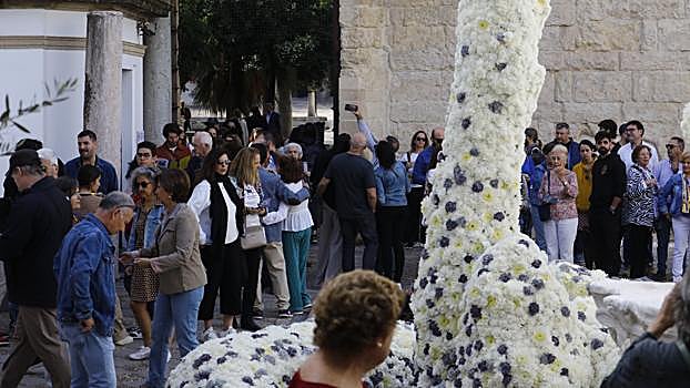 Instalación de Tadao Cern, ganador de Flora, en el Museo Arqueológico