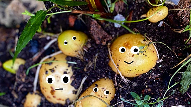 ¿Qué hacer este fin de semana en Madrid? 50 planes de ocio que no te puedes perder