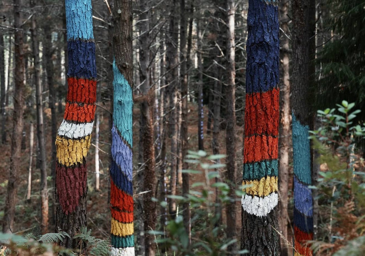 El nuevo Bosque de Oma ha sabido trasladar la esencia de Ibarrola a una nueva zona boscosa