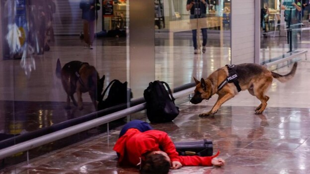 Uno de los perros de los Mossos, durante el simulacro, inspecciona una mochila para detectar la presencia de explosivos