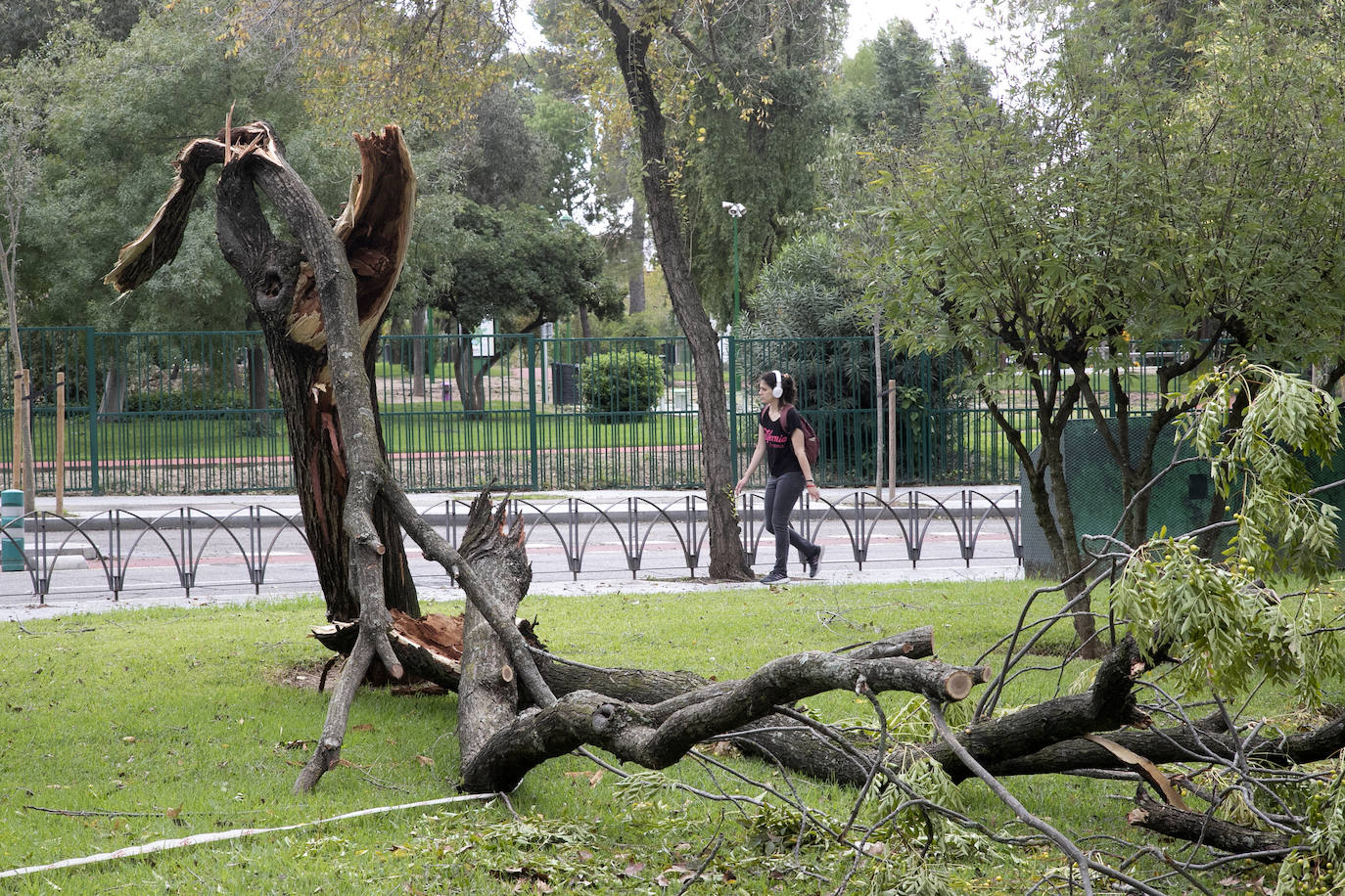 En imágenes, los efectos de Bernard en Córdoba una semana después