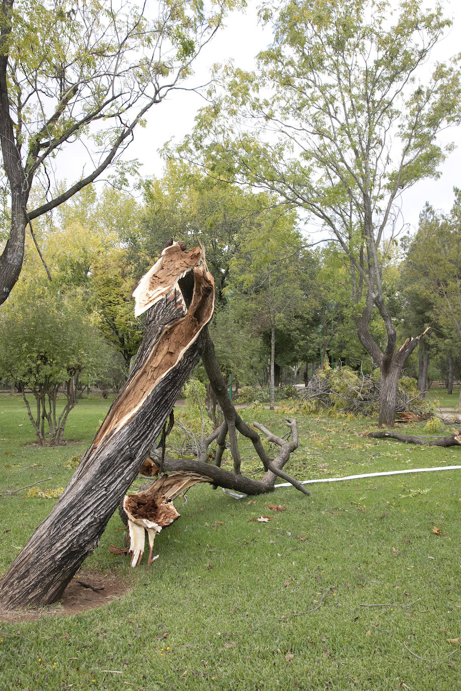 En imágenes, los efectos de Bernard en Córdoba una semana después