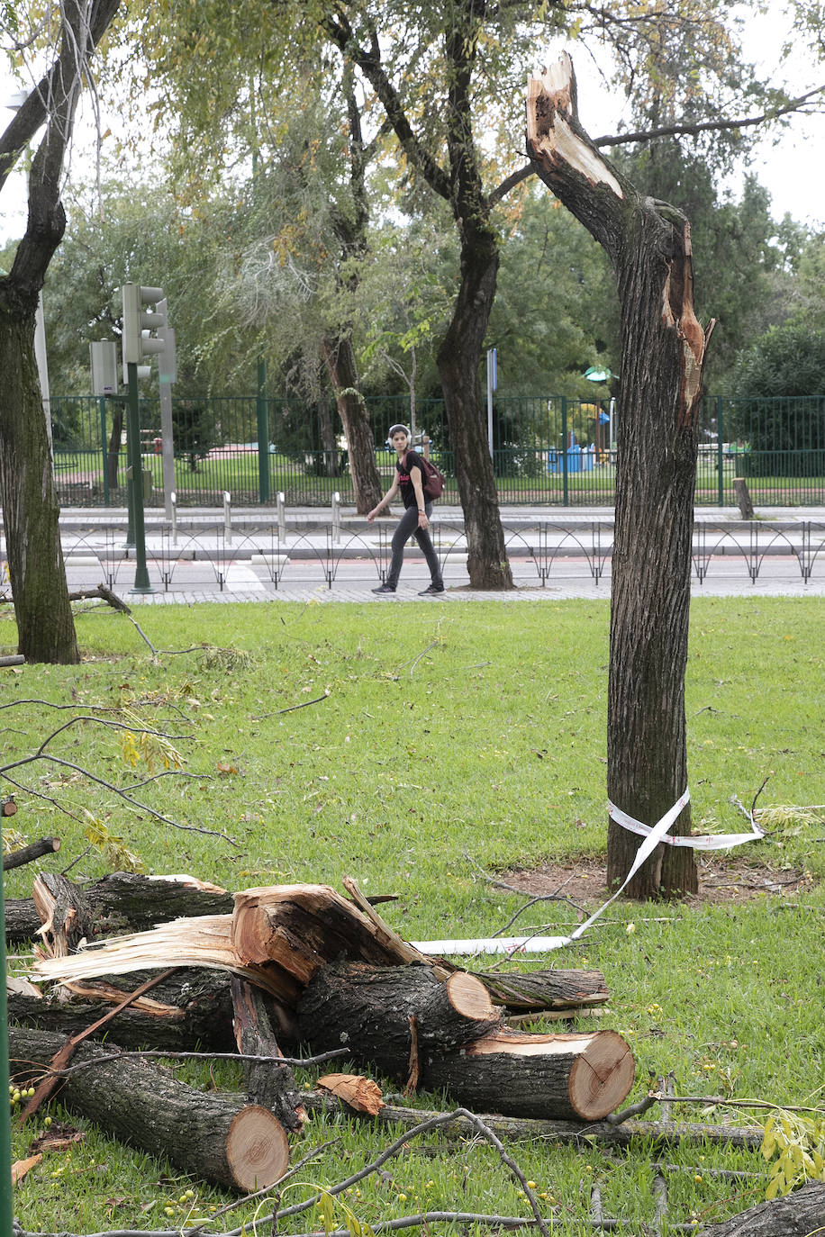 En imágenes, los efectos de Bernard en Córdoba una semana después