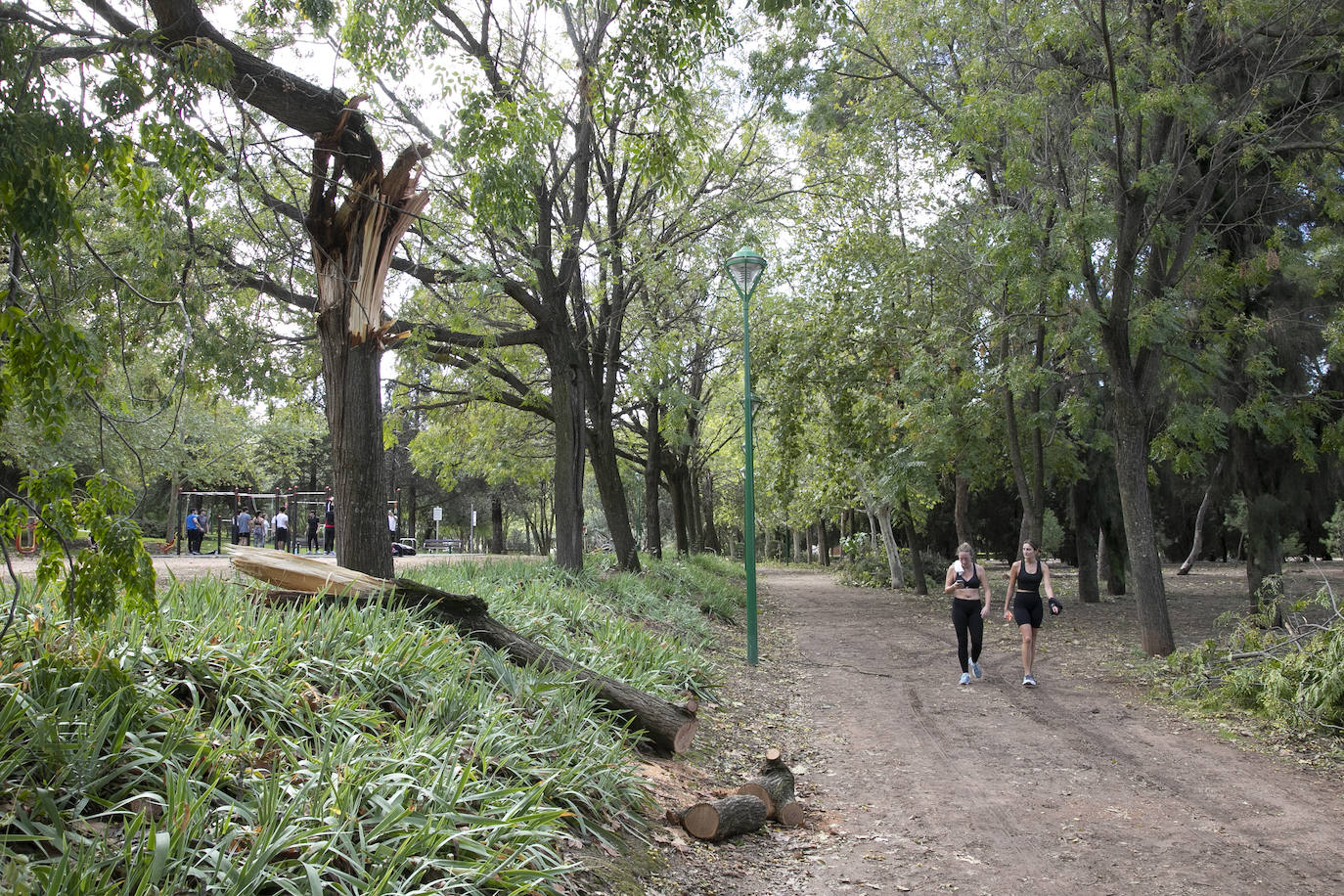 En imágenes, los efectos de Bernard en Córdoba una semana después