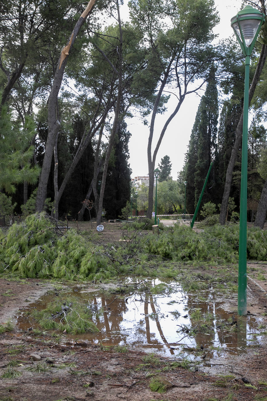En imágenes, los efectos de Bernard en Córdoba una semana después