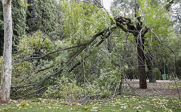 Imagen principal - Destrozos provocados por la borrasca