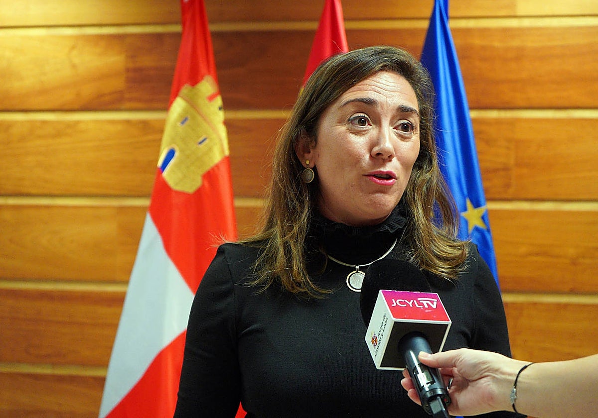 La consejera de Movilidad, en una reciente imagen de archivo