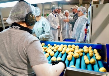 García-Gallardo, a la «gentuza» del PSOE: «Se van a tragar su ley de amnistía con patatas de Castilla y León»