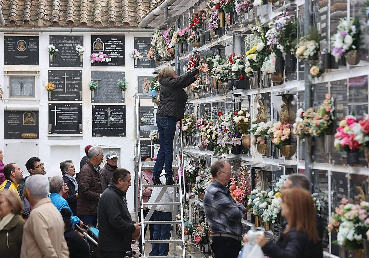 Fotos: Los cementerios de Córdoba se llenan de vida el Día de Todos los Santos