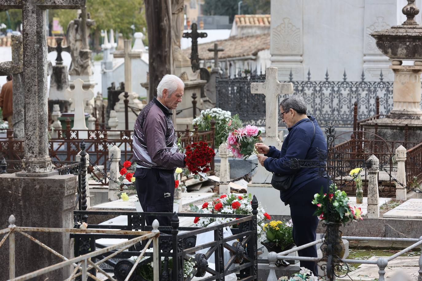 Fotos: Los cementerios de Córdoba se llenan de vida el Día de Todos los Santos