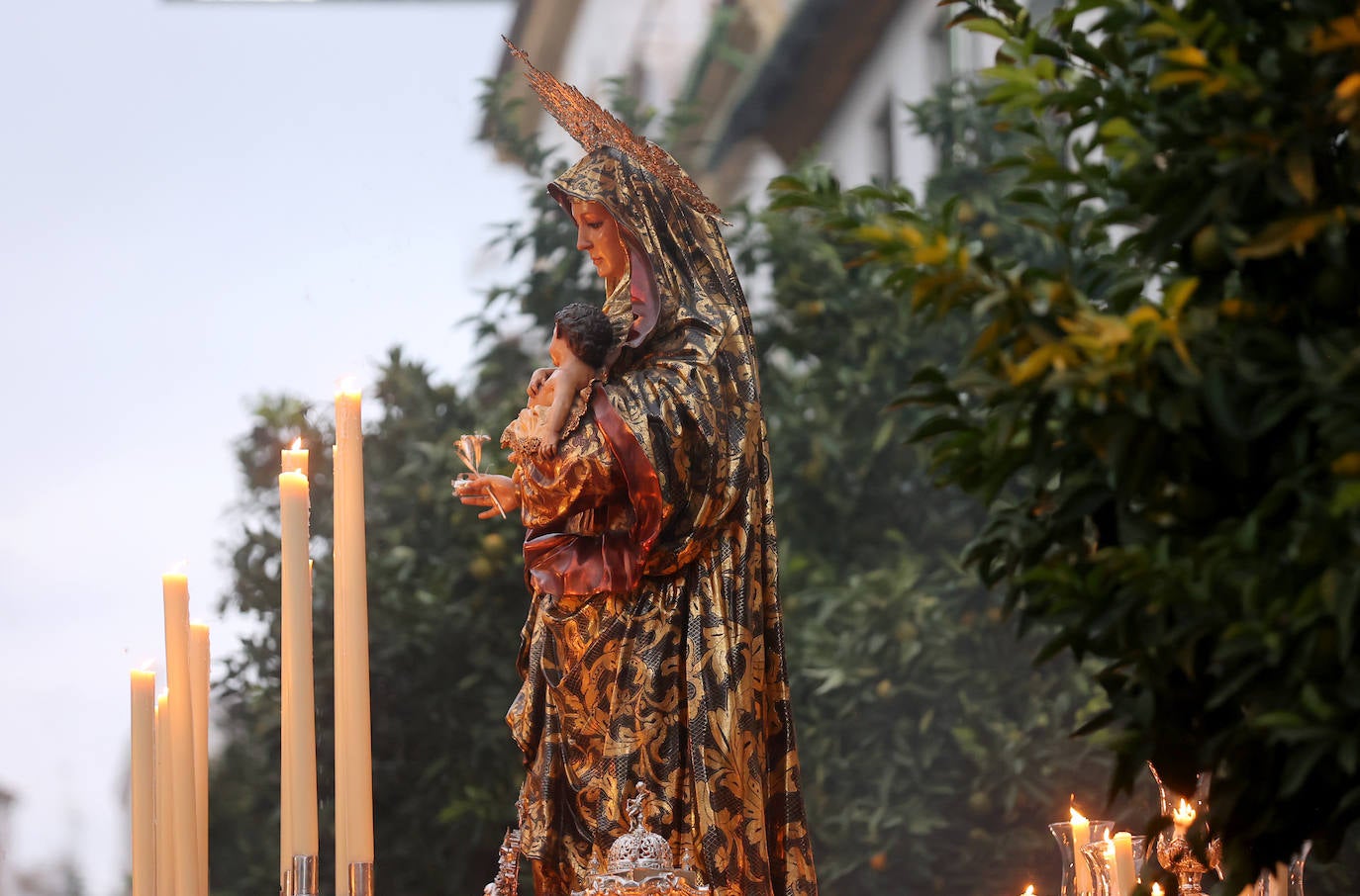 Fotos: Sobriedad y recogimiento en la procesión de la Virgen del Amparo en Córdoba