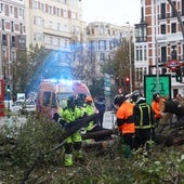 Tragedia en Alonso Martínez: el árbol que mató a la joven Juliana pasó la inspección el 25 de mayo