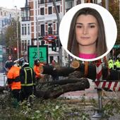 Tragedia en Alonso Martínez: el árbol que mató a la joven Juliana pasó la inspección el 25 de mayo