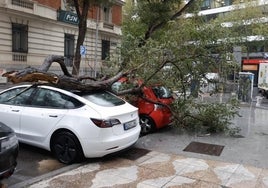 La borrasca Ciarán deja 109 intervenciones de los bomberos de la Comunidad de Madrid por fuertes vientos