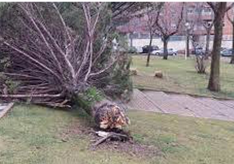 La región acumula 12 incidentes durante la noche por fuertes rachas de viento