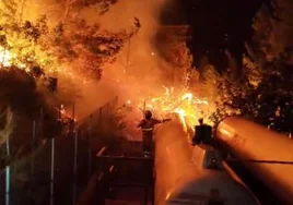 Incendio en Valencia: el fuego sin control por la borrasca Ciarán calcina 2.000 hectáreas y suma 850 evacuados