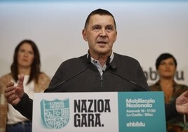 Otegi plantea la manifestación por la «nación vasca» como una respuesta a los últimos movimientos judiciales