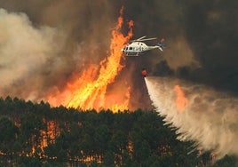 Condenado a pagar más de 740.000 euros como autor de un incendio por imprudencia grave en El Hoyo de Pinares (Ávila)