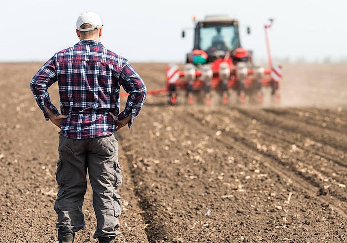 Agricultor faenando en el campo