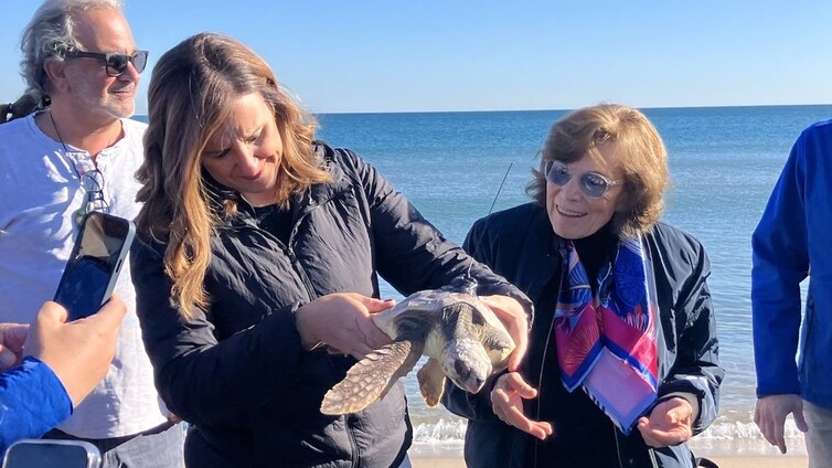 La emotiva suelta al mar de una tortuga cuidada por la Fundación Oceanogràfic en manos de Catalá y la exploradora Sylvia Earle