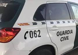 La Guardia Civil detiene en Asturias al dueño de un Pastor Belga Malinois tras matar a otro perro