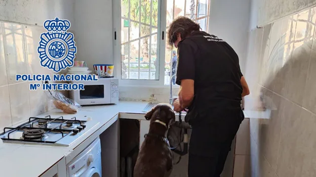 Imagen del operativo de la Policía Nacional en las Casitas Rosas de Valencia