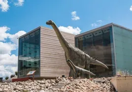 El Museo de Paleontología  celebrará la Semana de la Ciencia del 14 al 19 de noviembre con varias actividades