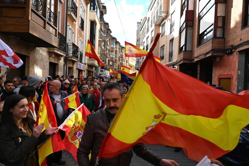 Banderas entre los asistentes de Palencia a la manifestación de este 12 de noviembre. Asistentes a las protestas de Palencia: 2.000