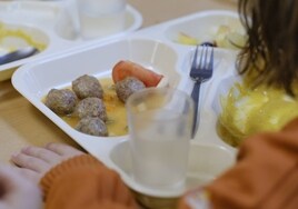 El Gobierno Vasco rescinde el contrato con la empresa que suministró comida con larvas y microorganismos en comedores escolares