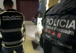 Diez detenidos en una operación de los Mossos, Policía, Interpol y FBI en Barcelona