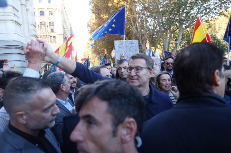 Alberto Núñez Feijóo, líder del PP, en la concentración del Foro España Cívica contra la amnistía en Cibeles