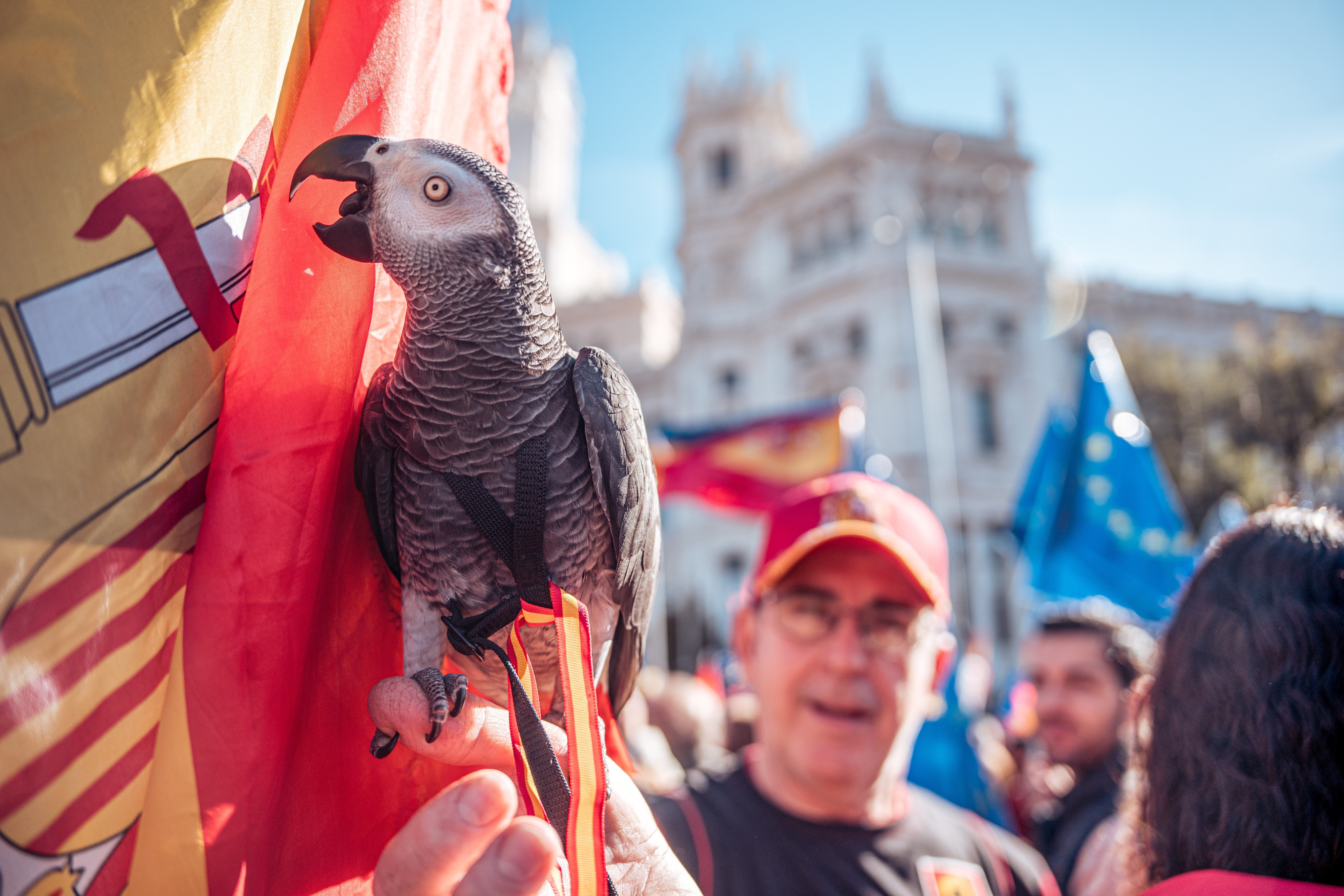 Un manifestante muestra su loro, ataviado para la ocasión, en la concentración del Foro España Cívica contra la amnistía en Cibeles