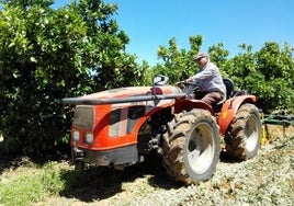 Así es el Huerto de Cirilo: la finca y tienda 'online' de moda con frutas y verduras sostenibles de Córdoba