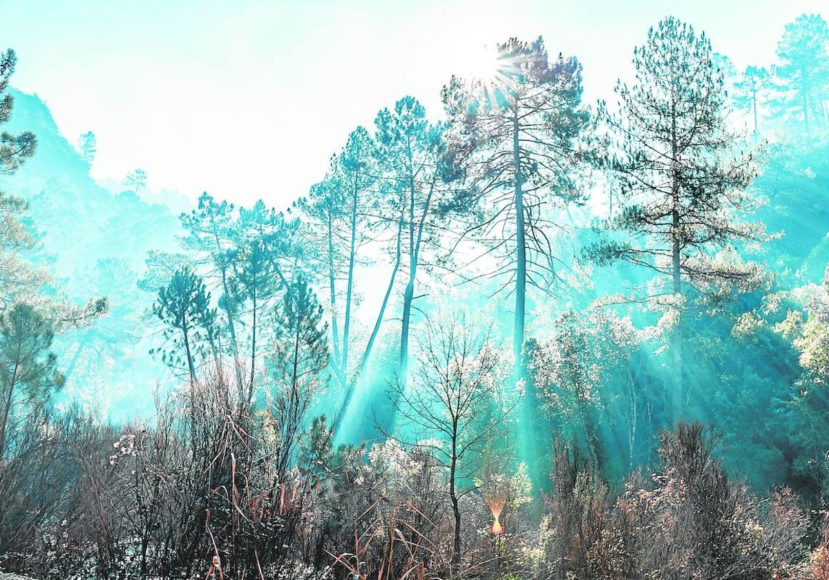 Imagen de la Sierra de Cazorla, en la provincia de Jaén