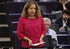 El PSOE busca argumentos para defender la amnistía en Europa