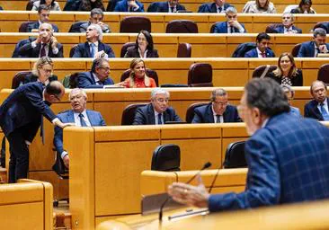 El PP tumba en el Senado la moción de Vox que pedía la ilegalización de ERC y Junts