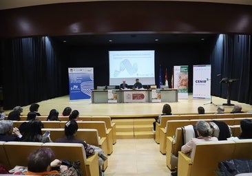 Un estudio combina el voluntariado con la «necesidad de combatir la soledad no deseada» de los mayores