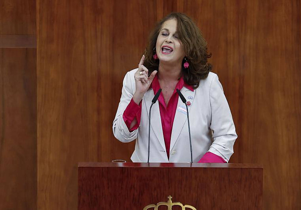 La diputada de Más Madrid Carla Antonelli