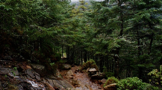 Los rincones más bellos de las sierras de Málaga que tienes que ver antes de que acabe el año