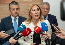 La Junta resolverá antes de fin de año los ajustes para que los grandes patrimonios puedan tributar en Andalucía