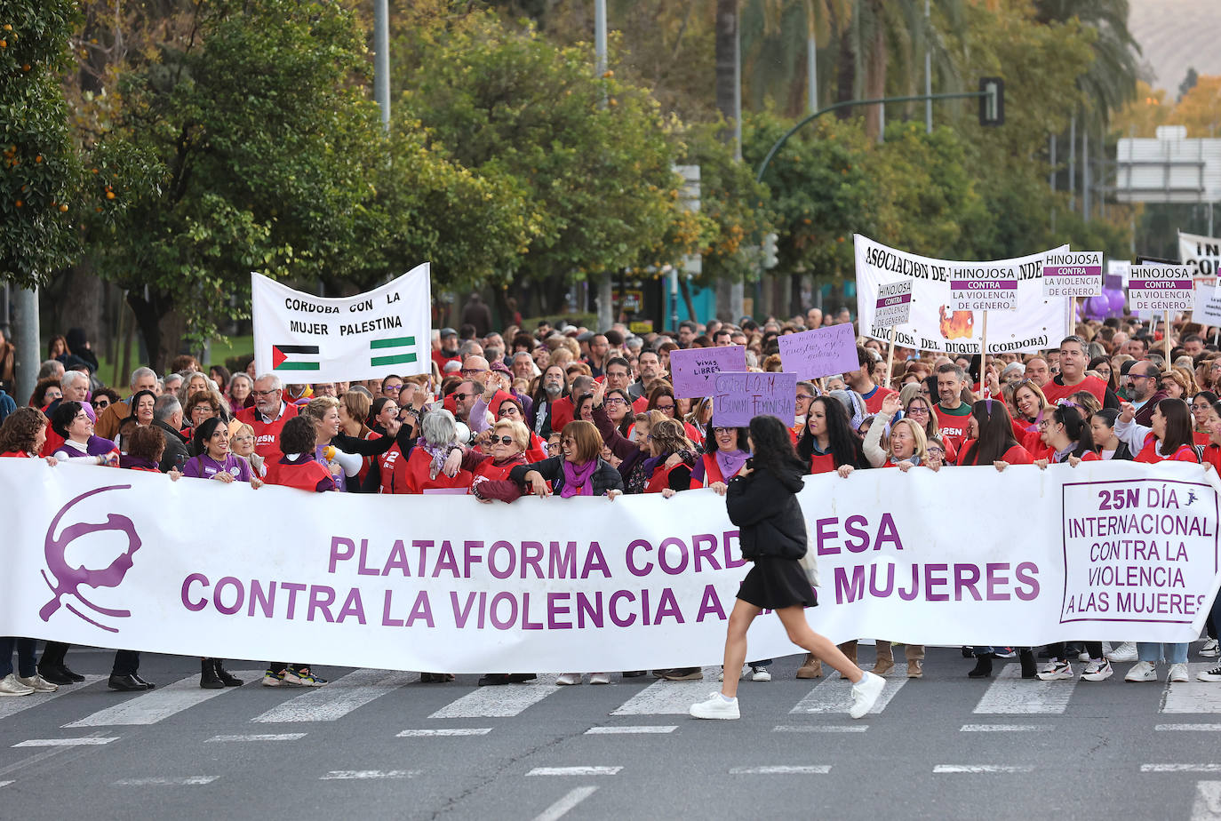 Fotos: la concurrida manifestación contra la violencia machista en Córdoba