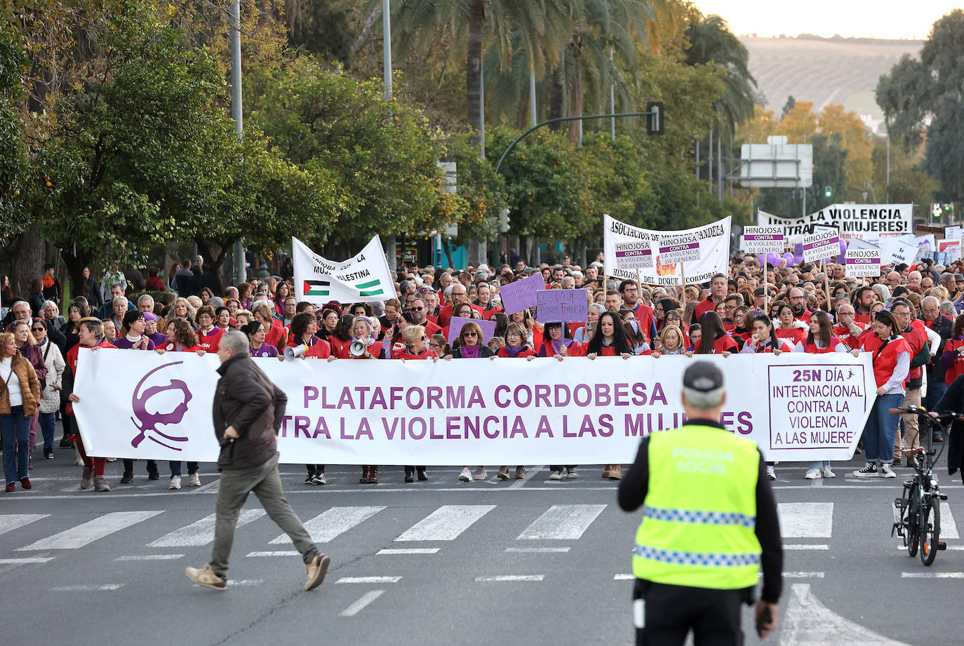Fotos: la concurrida manifestación contra la violencia machista en Córdoba