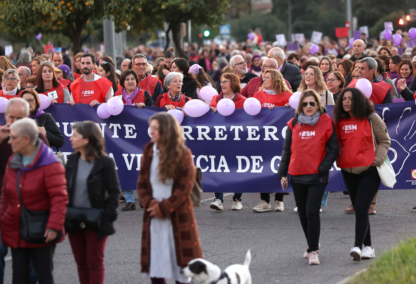 Fotos: la concurrida manifestación contra la violencia machista en Córdoba