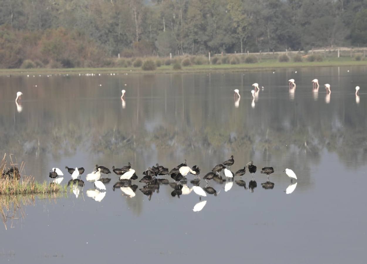 Teresa Ribera y Juan Moreno, durante su paseo por el parque nacional, previo a la firma 