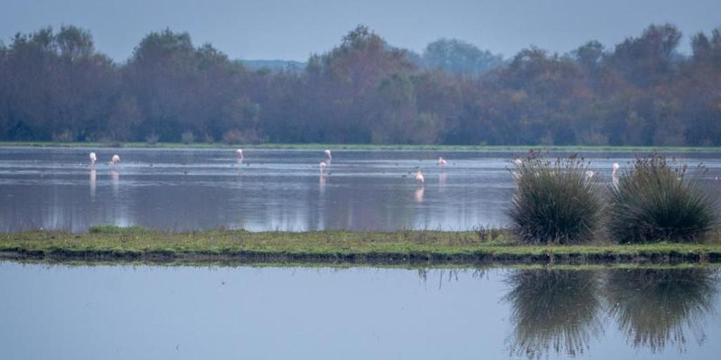 Parque Natural de Doñana